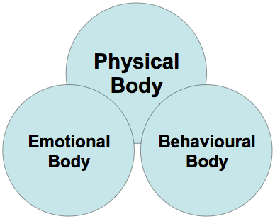 PHYSICAL, BEHAVIOURAL AND EMOTIONAL CONNECTIONS | SPINAL REFLEXOLOGY